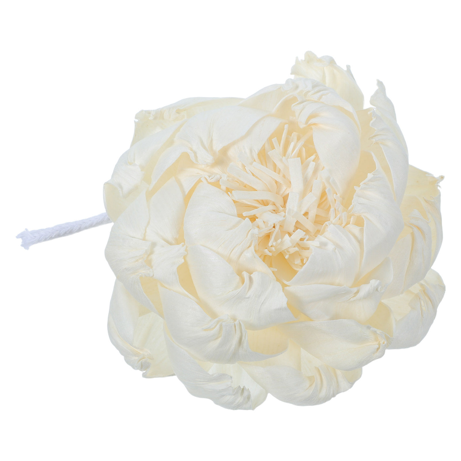 Diffuseur de parfum tête de pi - Home Fragrance avis et prix