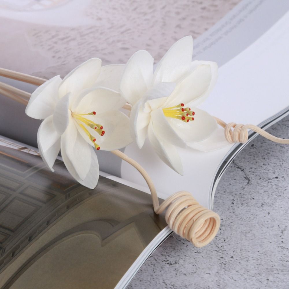 Bâtonnets diffuseurs d'encens  - Home Fragrance Diffuser Sticks avis et prix