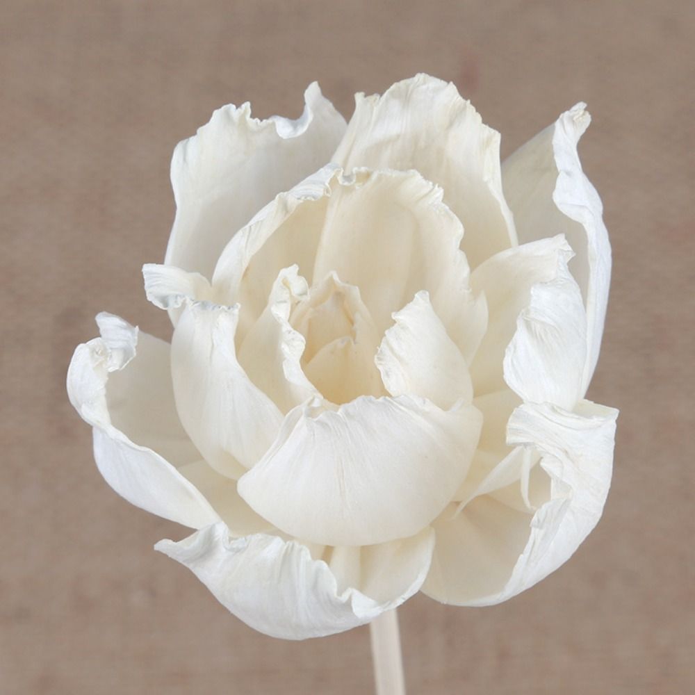 Bâtonnets diffuseurs d'encens  - Home Fragrance Diffuser Sticks avis et prix
